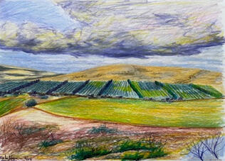 Prosser Orchard in Colored Pencil, Artist: Rochelle Luer