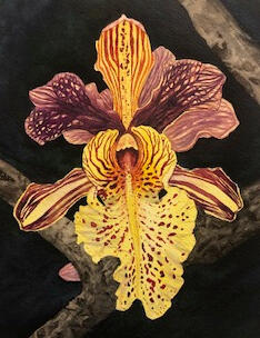 Orchid in Watercolor, Artist: Rochelle Luer